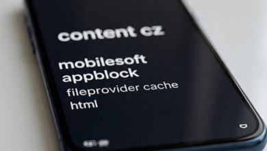 content cz mobilesoft appblock fileprovider cache blank html